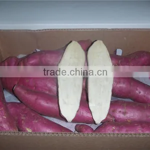 Fresh Sweet Potato/purple Sweet Potato/yellow Sweet Potato thumbnail-2