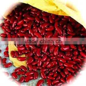 JSX Africa Red Kideny Beans Non-GMO Export British Red Kidney Bean thumbnail-5