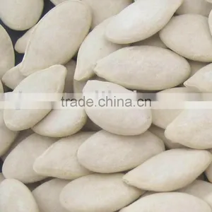 Roasted and Salted Pumpkin Seed (11cm,12cm,13cm) thumbnail-1