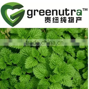 Herba Menthae Extract thumbnail-1