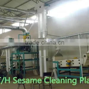 Green Mung Bean Cleaning Plant thumbnail-4