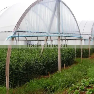 Tunnel Greenhouse Film From China Manufacturer thumbnail-2