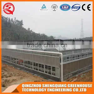 China Venlo Glass Greenhouse/greenhouse Steel Frame Planting Grows thumbnail-1