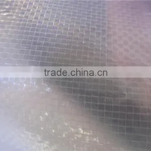 Greenhouse Transparent pe Tarpaulin, Greenhouse Covering Tarpaulin, Super Quality PE Tarpaulin thumbnail-1