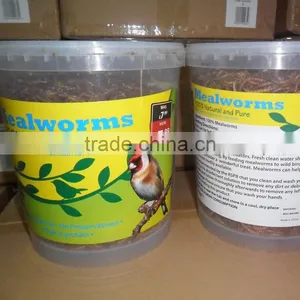 Best Selling Mealworm Treats thumbnail-3