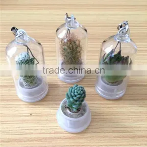 Wholesale Factory Cheap Glass Potted Meaty Cactus Plant Keychain, Super Mini Personal Gift Decorative Keychain Plant Design thumbnail-2