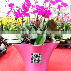 360*200 Biodegradable Colorful Plant Flower Pot Eco Planer thumbnail-4