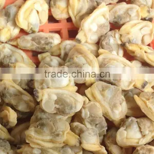 New Sason Frozen Baby Clam Meat Export Levels Quality thumbnail-1