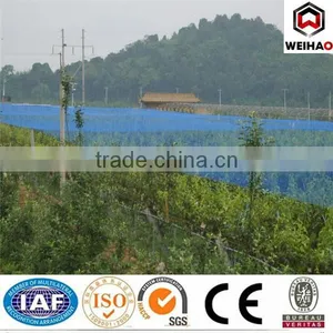 Factory Anti-bird Mesh/plastic Net thumbnail-1