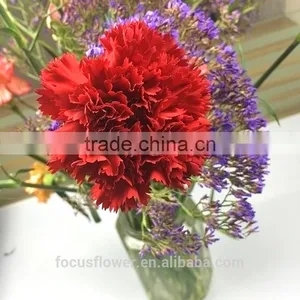 Good Petals Wholesale Carnation Heads All Occassions From Kunming thumbnail-2