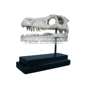 Fossils thumbnail-1