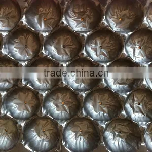 39X59cm PP Tray Packaging Pear thumbnail-5