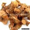 Sell Galangals thumbnail-1