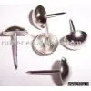 Stainless Steel Nail, Stainless Steel Sofa Nail, Stainless Steel Furniture Nail thumbnail-1