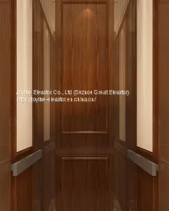 Home Elevator - Joylive Elevator Co., Ltd. thumbnail-1
