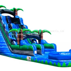 Inflatable Slip and Slide Inflatable Water Slide Axs-15 thumbnail-4