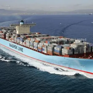 International Logistics Shipping Guangzhou Huangpu to Kuwait Special Line FCL Shipping Double Clearance to the Door thumbnail-1