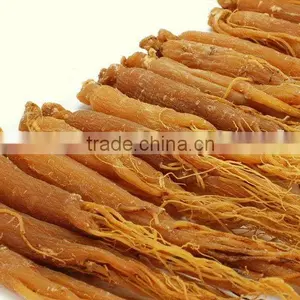 Red Ginseng Root / Panax Ginseng / Ninjin / Insam With Tail Tonic Body thumbnail-3