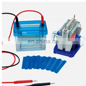 Assessment Serum Protein Electrophoresis in Clinical Diagnosis thumbnail-1