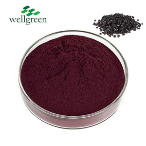FREE SAMPLE Goji Berry Powder Lcycium Barbarum Polysaccharide Goji Berry Extract Wolfberry Extract thumbnail-1