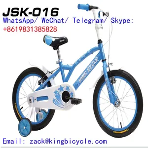 Balance Car BIKE Cycle 12