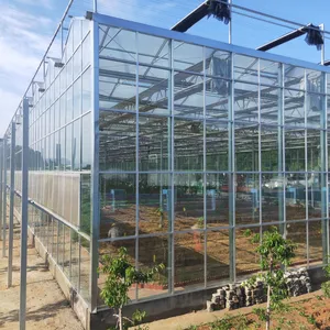 ASTM E2141 Compliant Greenhouse Glass for Solar Energy Optimization thumbnail-3