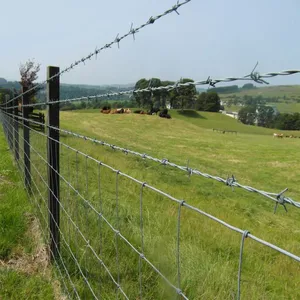 Factory Hot Dipped Galvanized Barbed Wire for Mesh Security Fencing 12.5 Gauge 18 Gauge PVC Coated Iron Barbed Wire 50kg thumbnail-6
