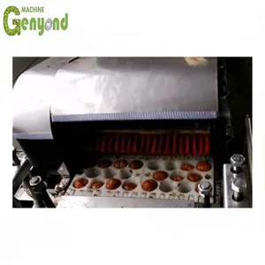 Industrial Cherry Pitting/Seed Stem Removal Machine Factory Direct Price thumbnail-2