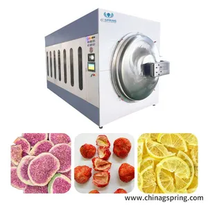 OEM Automatic Microwave Vacuum Dryer Machine Hot Selling Industrial Low Temperature Drying Equipment thumbnail-3