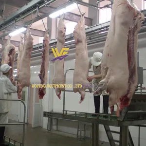 Full Pig Slaughtering Machine Hog Abattoir Equipment HACCP Swine Butcher Device Pork Processing Factory Meat Production Line thumbnail-3