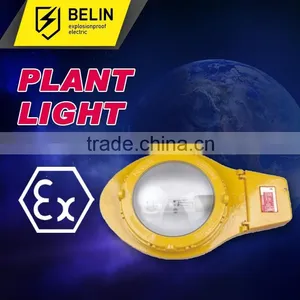 BLC8610 Explosion Proof Road Light thumbnail-1