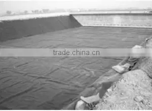 Blue Color Geomembrane thumbnail-4
