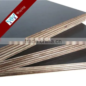 Poplar Main Material Popal Plywood thumbnail-2
