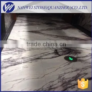 Fancy Indoor Ice White Marble Decorative Building Material thumbnail-2