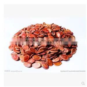Roasted Red Watermelon Seed thumbnail-1