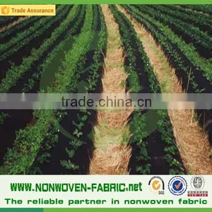 Agriculture PP Spunbond Non-woven/Nonwoven Fabric Weed Control thumbnail-1