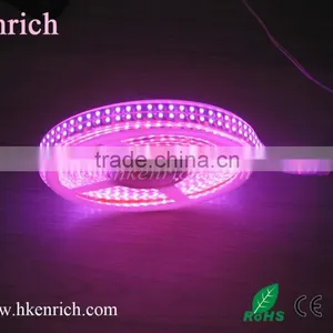 Pink Color Led Strip Light Double Line Leds 120pcs thumbnail-1