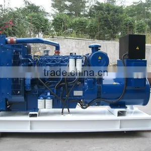 Diesel Generator thumbnail-1
