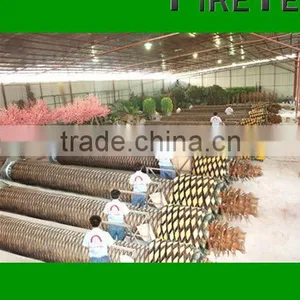 Artificial Canary Date Palm Tree thumbnail-4