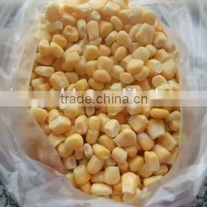 Non-GMO Frozen Sweet Corn Kernels IQF Sweet Corn Kernels thumbnail-5