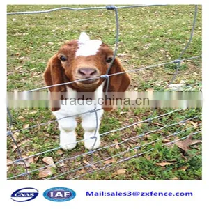 Factory Direct Cheap Heavy Duty Sheep Fence,horse Fence,cattle Fence thumbnail-6