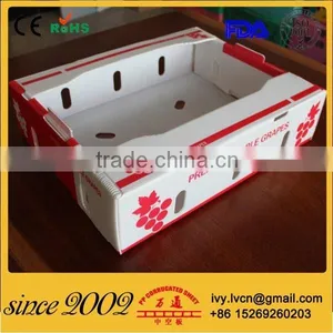 Factory Price Durable Foldable Corrugated Plastic Boxes For Fruits thumbnail-5