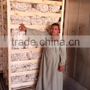 Wholesale Garlic Pure White Garlic 4.5cm-5cm thumbnail-5
