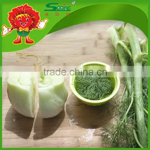 FRESH FENNEL thumbnail-6