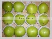 Su Pear From China (Early Green) thumbnail-1