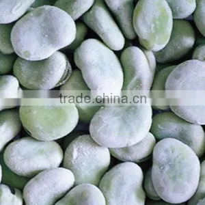 AAA Grade Broad Green Beans in China for Export thumbnail-1