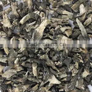 Dried Morchella Conica Industrial Grade thumbnail-2