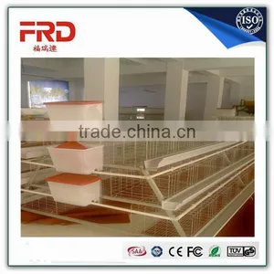FRD Good Price Commercial Poultry Layer Quail Farming Cages And Quail Farming Equipment For Sale/Model Poultry Cage thumbnail-3