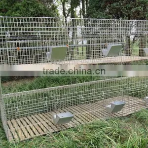 Rabbit Farming Breeding Cages, Metal Animal Husbandry Rabbit Cage thumbnail-5