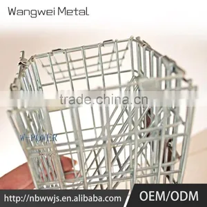 Golden China Supplier Reasonable Price Pet Cage thumbnail-1